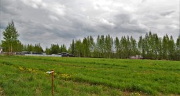 Массив Скотное