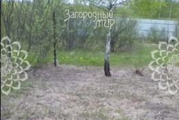 Клин, Алексейково, к.ад