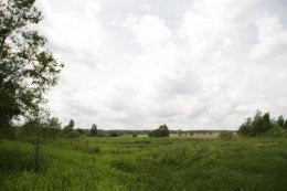 Луховицы, Подлесная Слобода, Луховицкая
