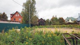 Лесные Поляны, Лесная