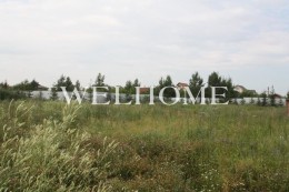 Истра, Новинки