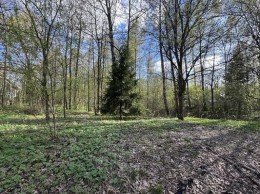 Дмитров, Сазонки, Дубровка