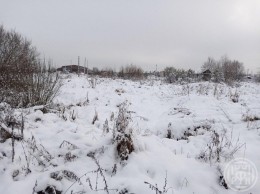 Щеглово