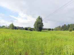 Борки