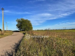 Елизаветино, Вохоновское