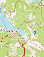 Светлое
