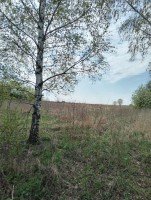 Зарайск, Ситьково