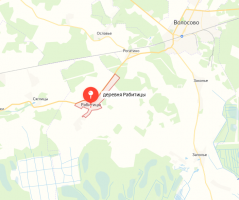 Рабитицы