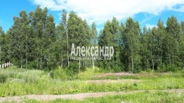 Колтуши