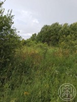 Колодно, 6