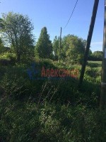 Балтиец