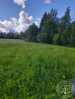 Барышево