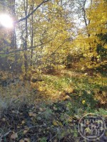 Советский, Ленинградская, 31