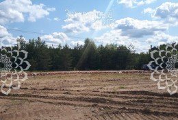 Мжд Рижское 9-й, 269