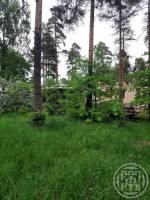 Всеволожск, Козлова