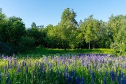 Четверяково