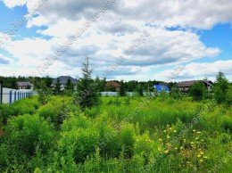 Химки, Фирсановка