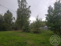 Лебяжье