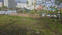 Люберцы, Зеленая зона