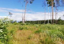 Жары