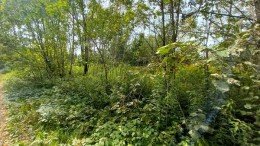Истра, Качаброво