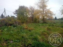 Солнечное, Культуры