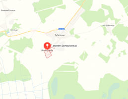 Домашковицы