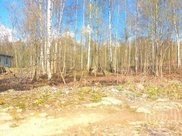 Парголово, Вокзальное (Осиновая Роща)