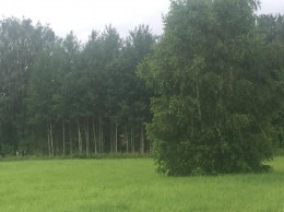 Кубинка