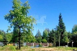 Горки-2, Изумрудный Век