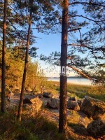 Выборг, Кеппа