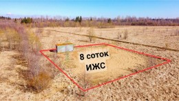 Касимово, Янтарная
