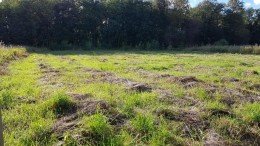 Волхонское