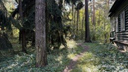 Раменское, Кратово, Комиссарова, 36