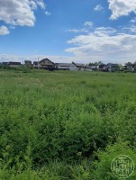 Кискелово, Арли