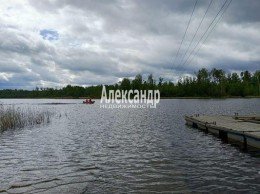 Светлое