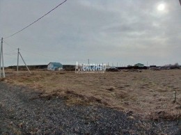 Старая, Колтушское