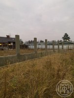Белоостров, Речная