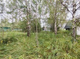 Наро-Фоминск, Субботино, ТСН Субботино