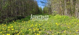 СНТ Надежда массива Нечеперть, 490