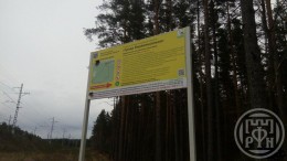 Массив Петровское, Флора, к.нт