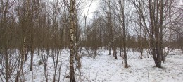 Можайск, Авдотьино