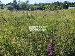 Старосиверская, Сиверский, к.НТ