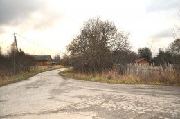 Егорьевск, Большая Ильинка, Гоша, к.нт
