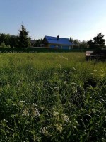 Малые Жеребцы, Дачная