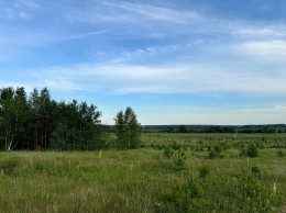 Дракино