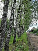 Развилковское, Развилка