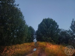 Петергоф, Гостилицкое
