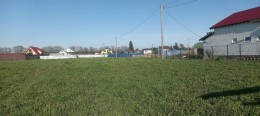 Клопицы