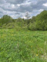 Заостровье